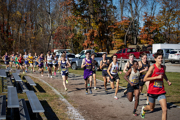 CC 0001