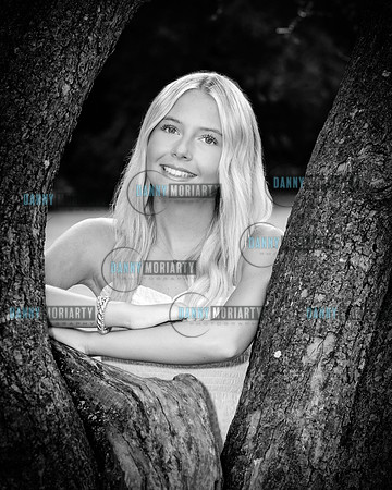 C 0177bw