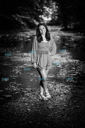 AR 0124bw